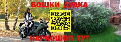 сатива Лесосибирск