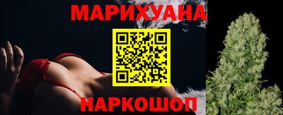сатива Лесосибирск