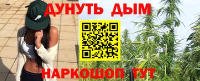 сатива Лесосибирск